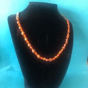 1970's Native American Nutseed and Plastic Bead Necklace